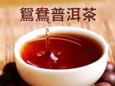 鴛鴦普洱茶